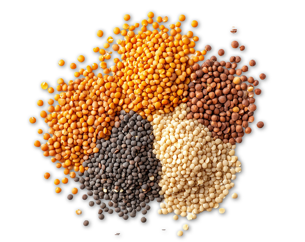 Five different types of magnesium sources